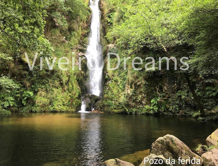 הוילה Viveiro Dreams מראה חיצוני תמונה